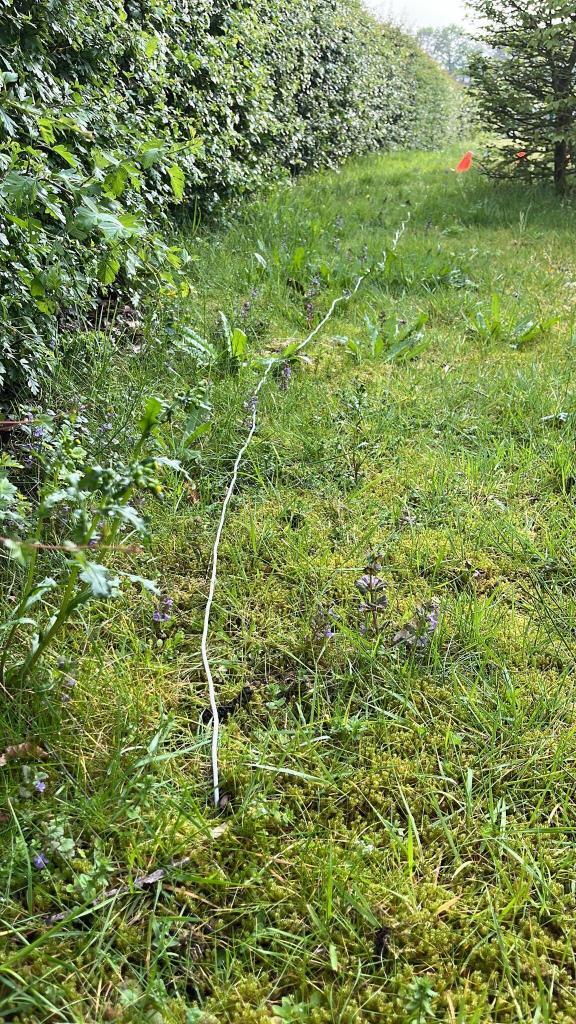 counterpoise