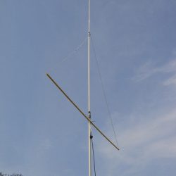 dsc02606sized.jpg
