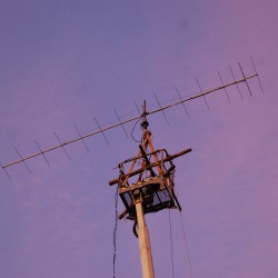 dsc_3393