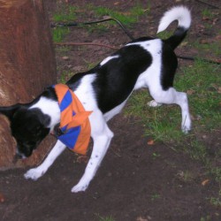 image446sized.jpg