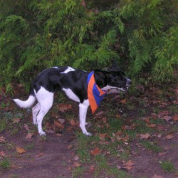 image447sized.jpg