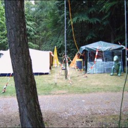 img00015.jpg