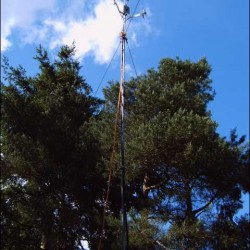 img00062.jpg