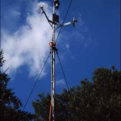 img00063.jpg