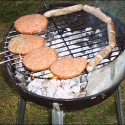 img00084.jpg