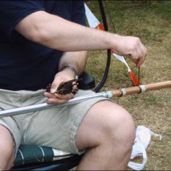 img00131.jpg