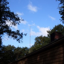 sdc13050